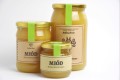 Miód Wielokwiatowy